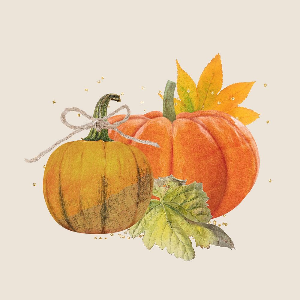 Aesthetic Autumn pumpkin, botanical collage