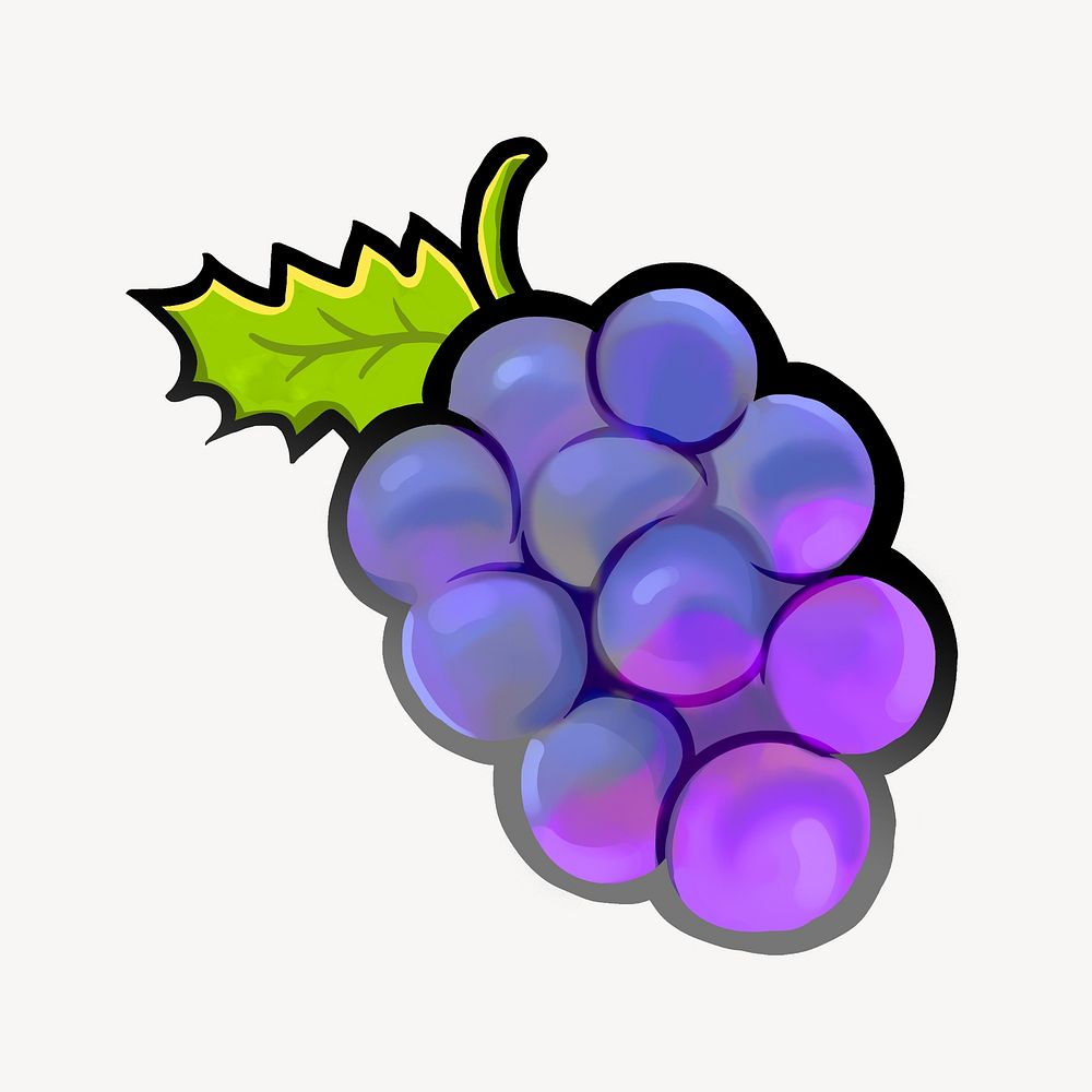 Purple grapes fruit, food illustration