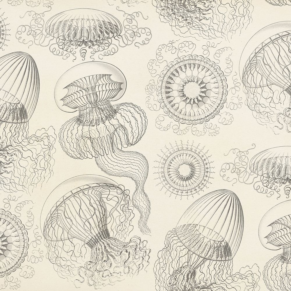 Vintage jellyfish pattern background, marine life illustration by Ernst Haeckel, remixed by rawpixel