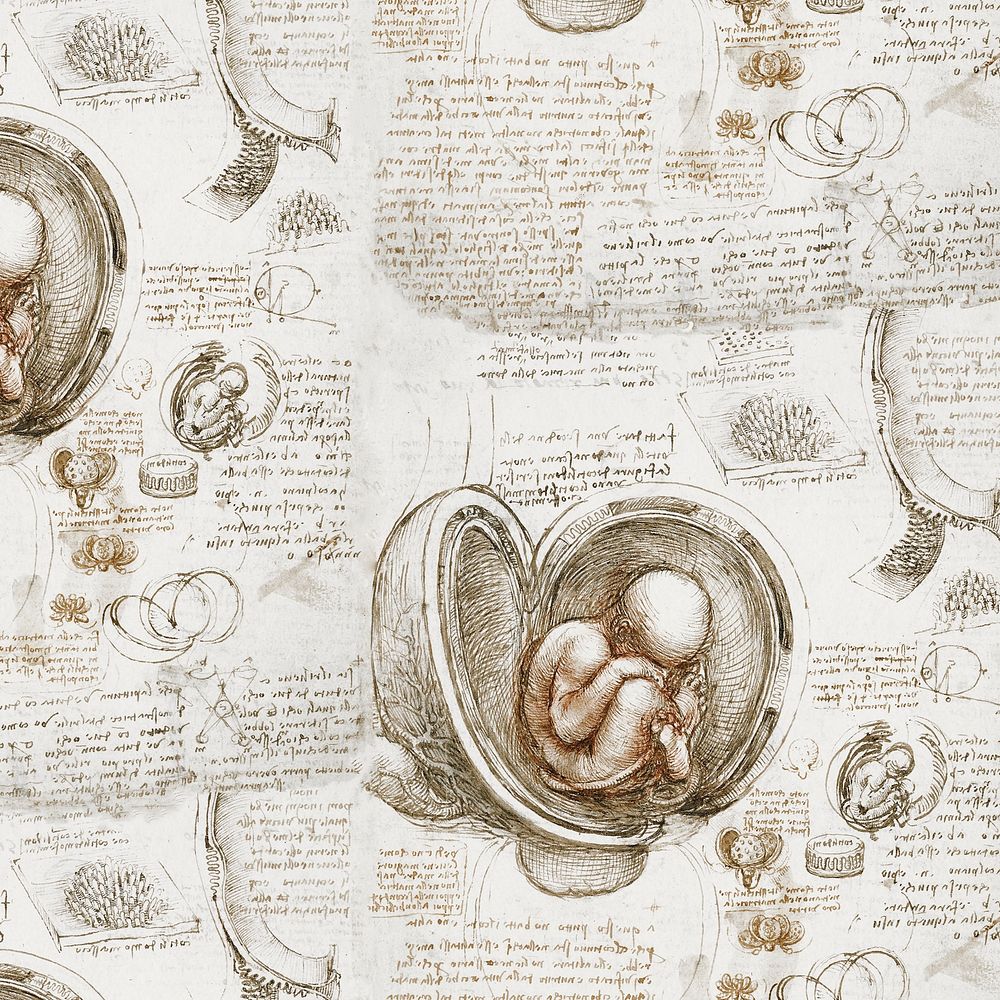 Leonardo da Vinci's background, Studies of the Foetus in the Womb painting, remixed by rawpixel