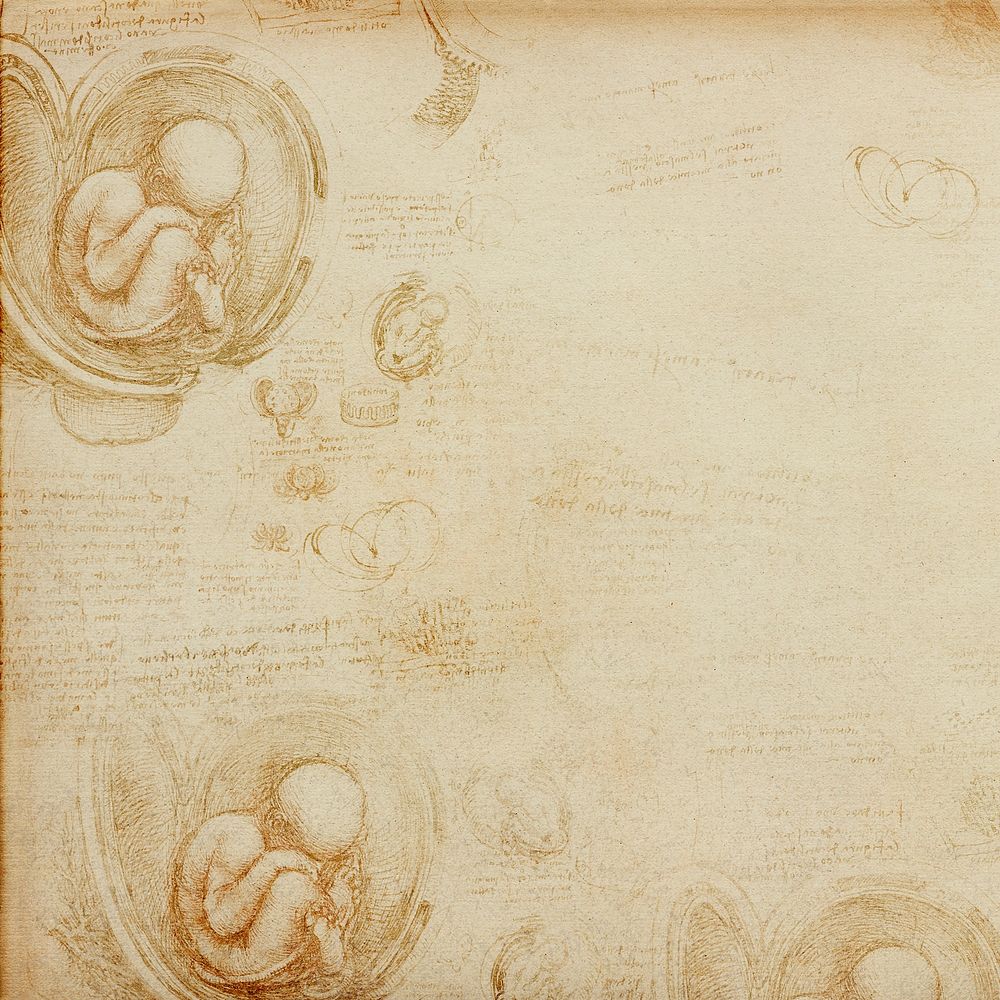 Leonardo da Vinci's background, Studies of the Foetus in the Womb painting, remixed by rawpixel