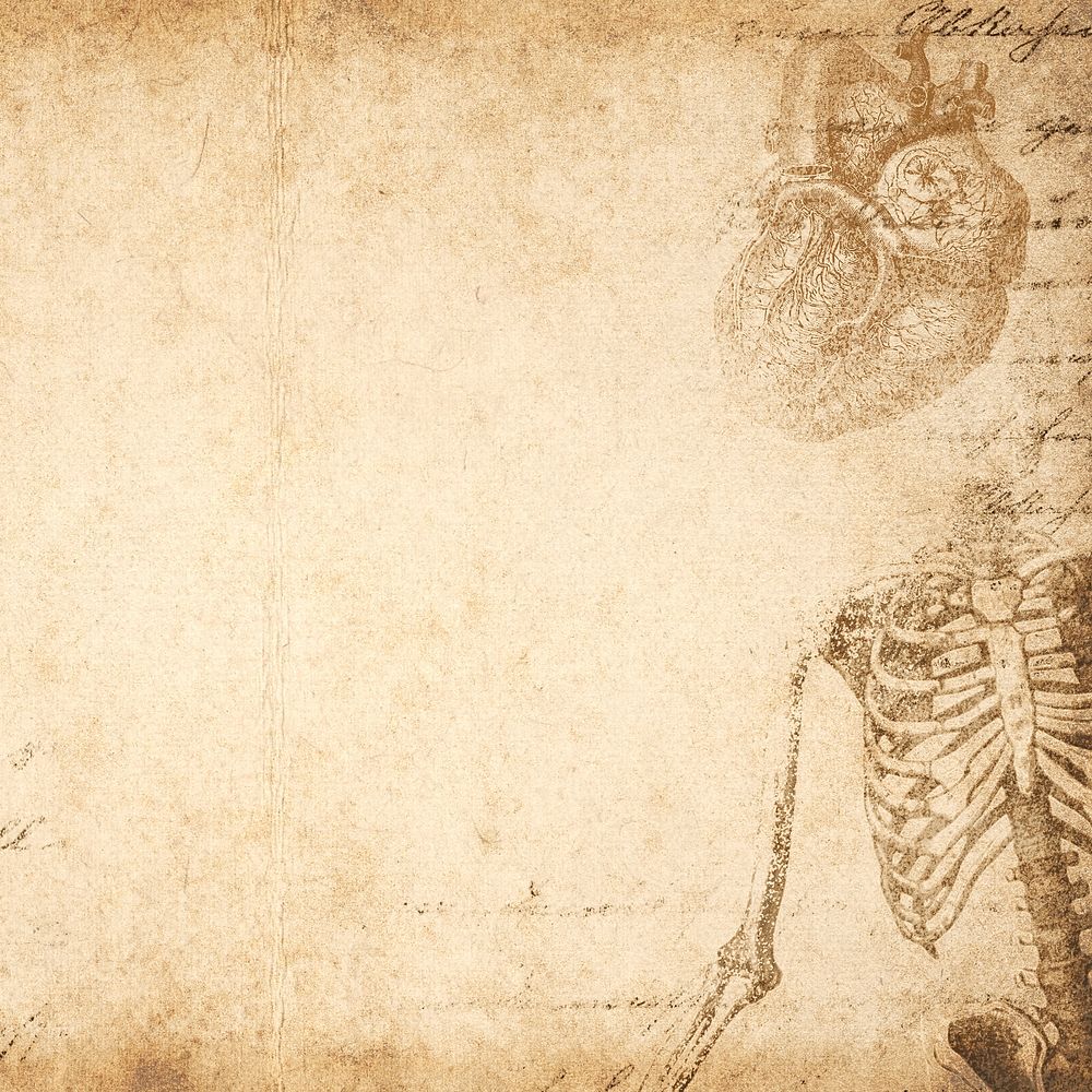 Vintage human skeleton background, beige paper texture design, remixed by rawpixel