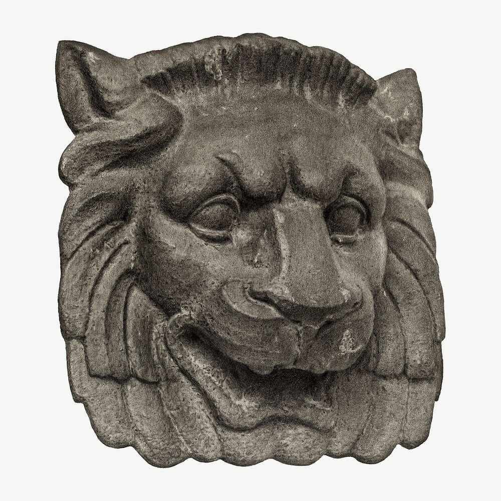 Muzzle of a lion object cutout psd, collage element