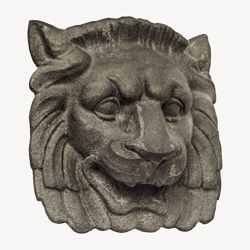 Muzzle of a lion isolated vintage object on white background