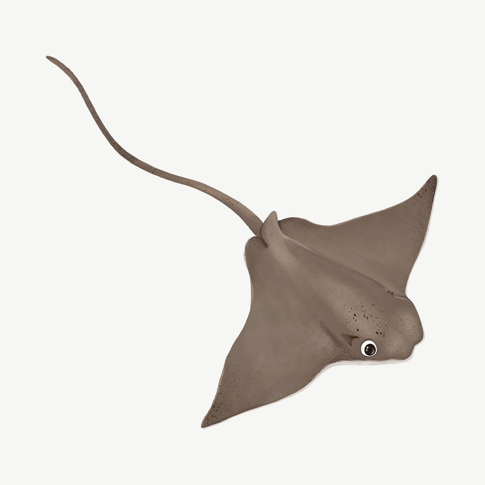 Stingray, animal illustration, collage element psd