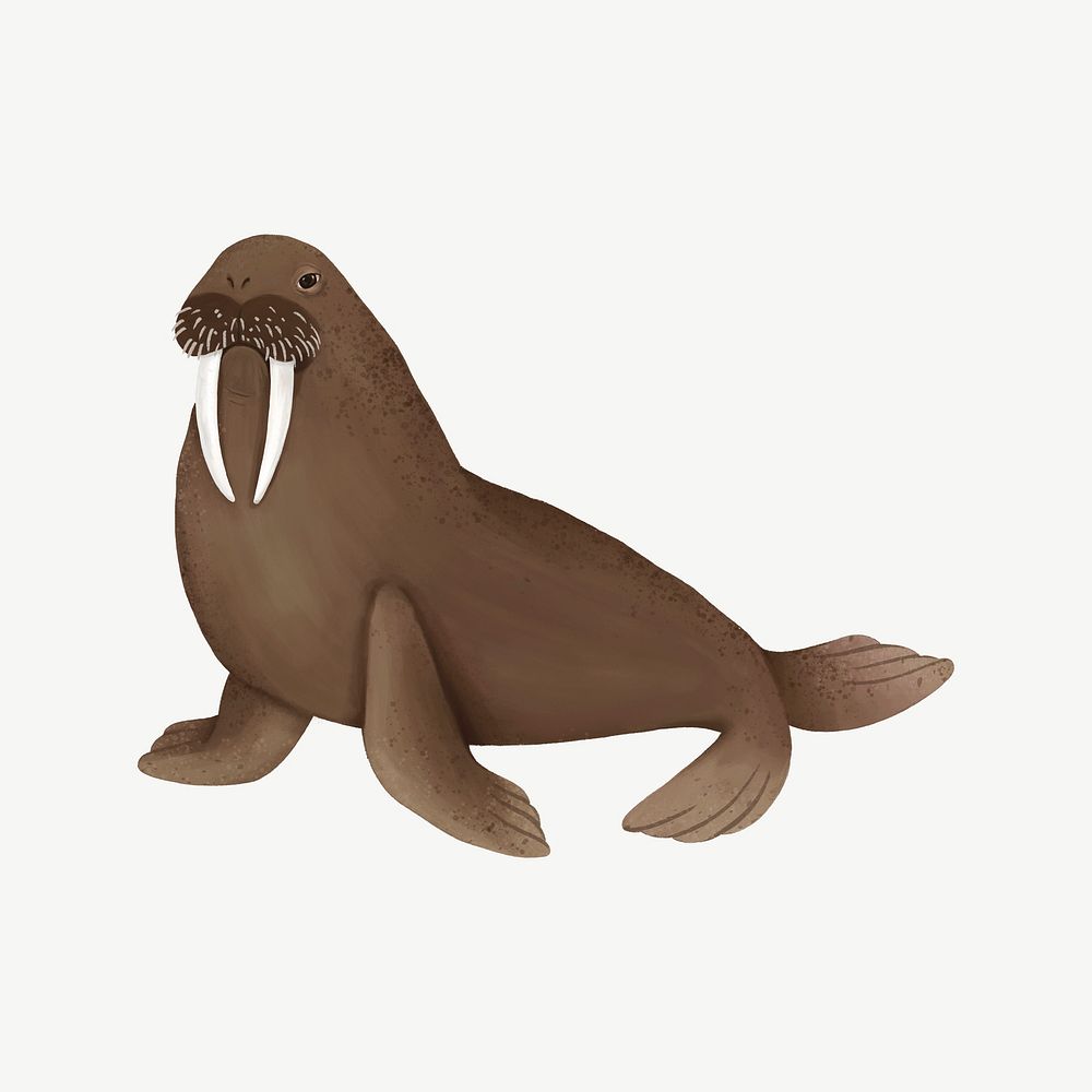 Cute walrus, animal illustration, collage element psd