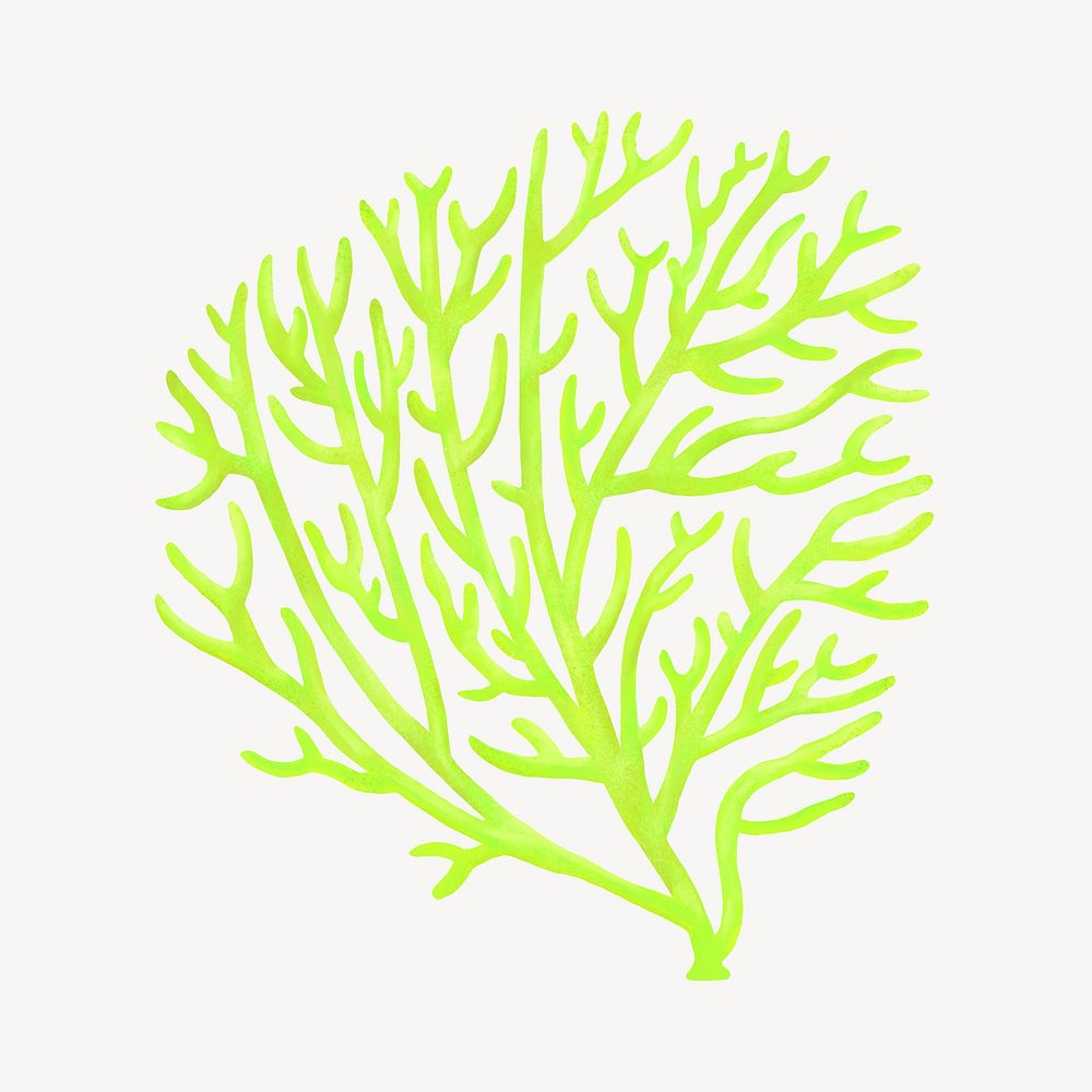 Green coral, aesthetic nature illustration