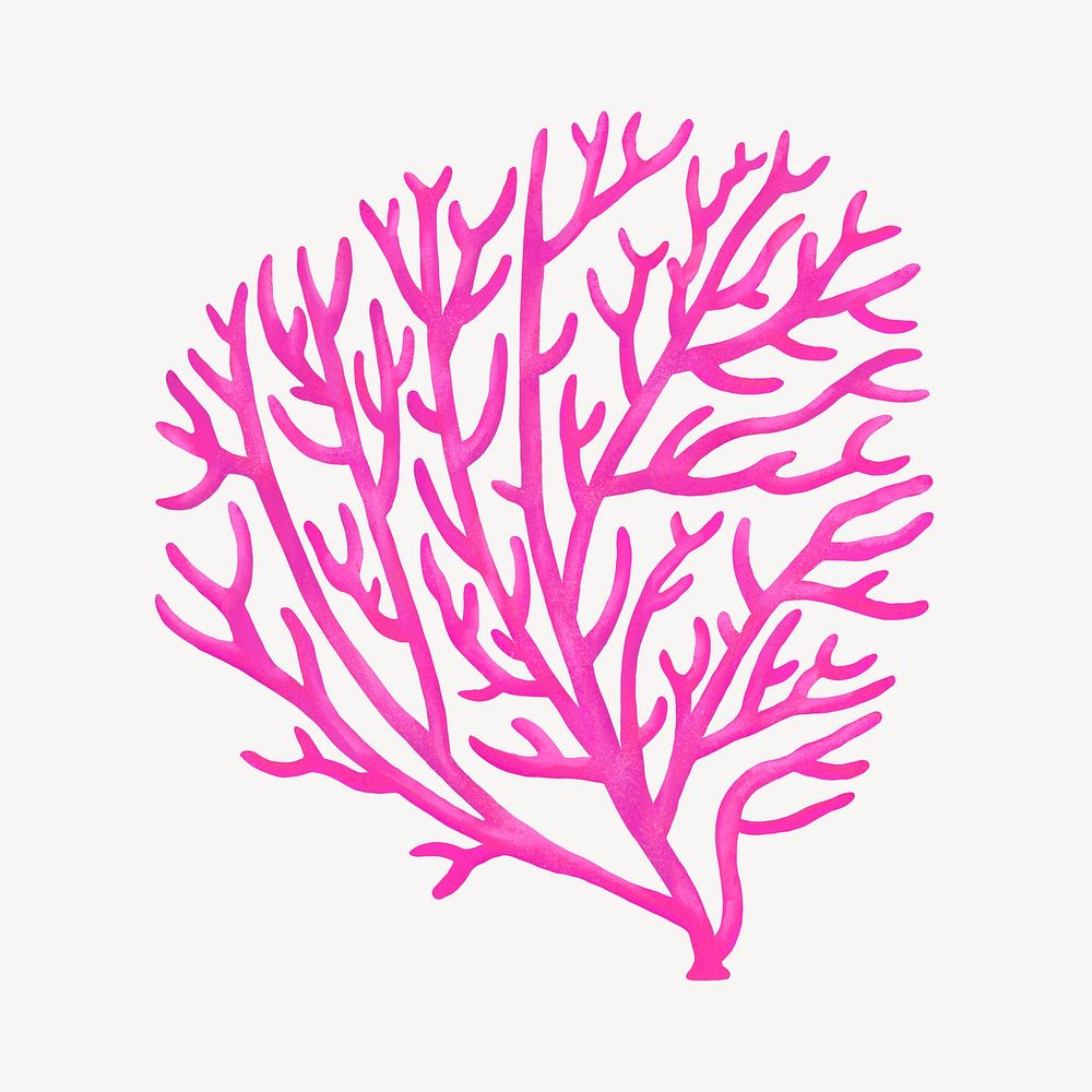 Pink coral, aesthetic nature illustration