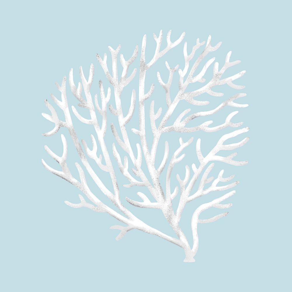 Bleached coral, nature illustration collage element psd