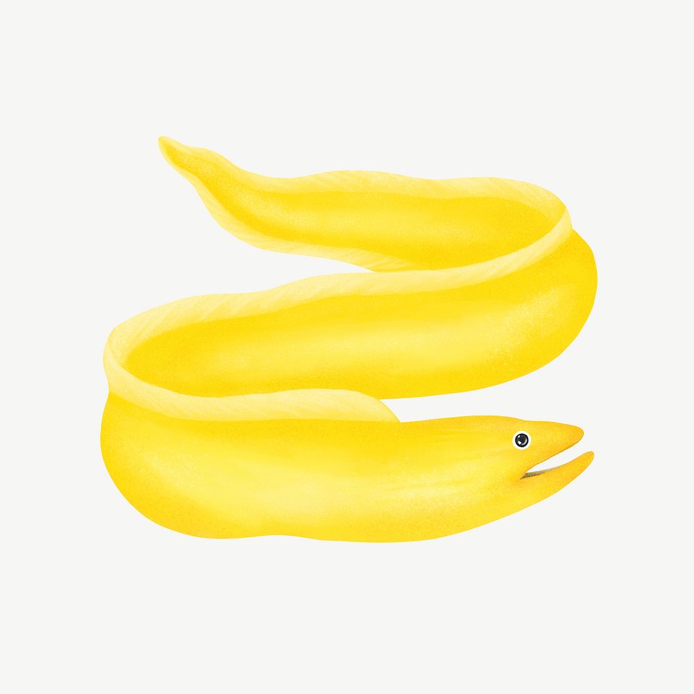 Yellow eel, animal illustration, collage element psd