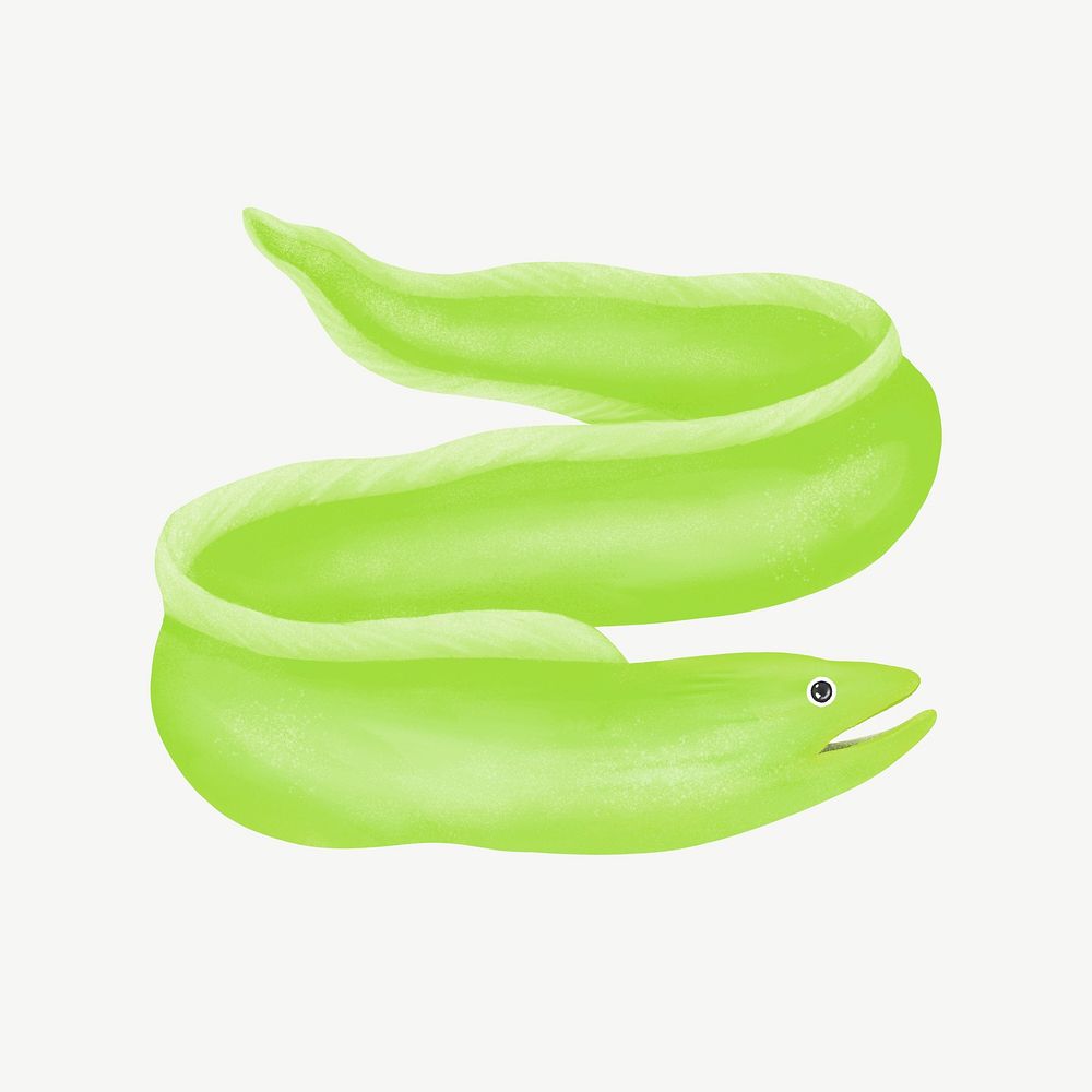 Green eel, animal illustration, collage element psd