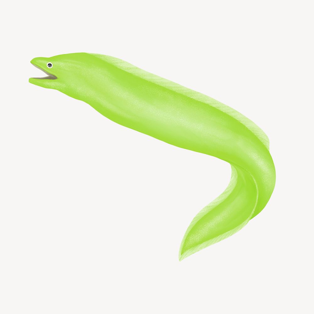 Green eel, cute hand drawn illustration