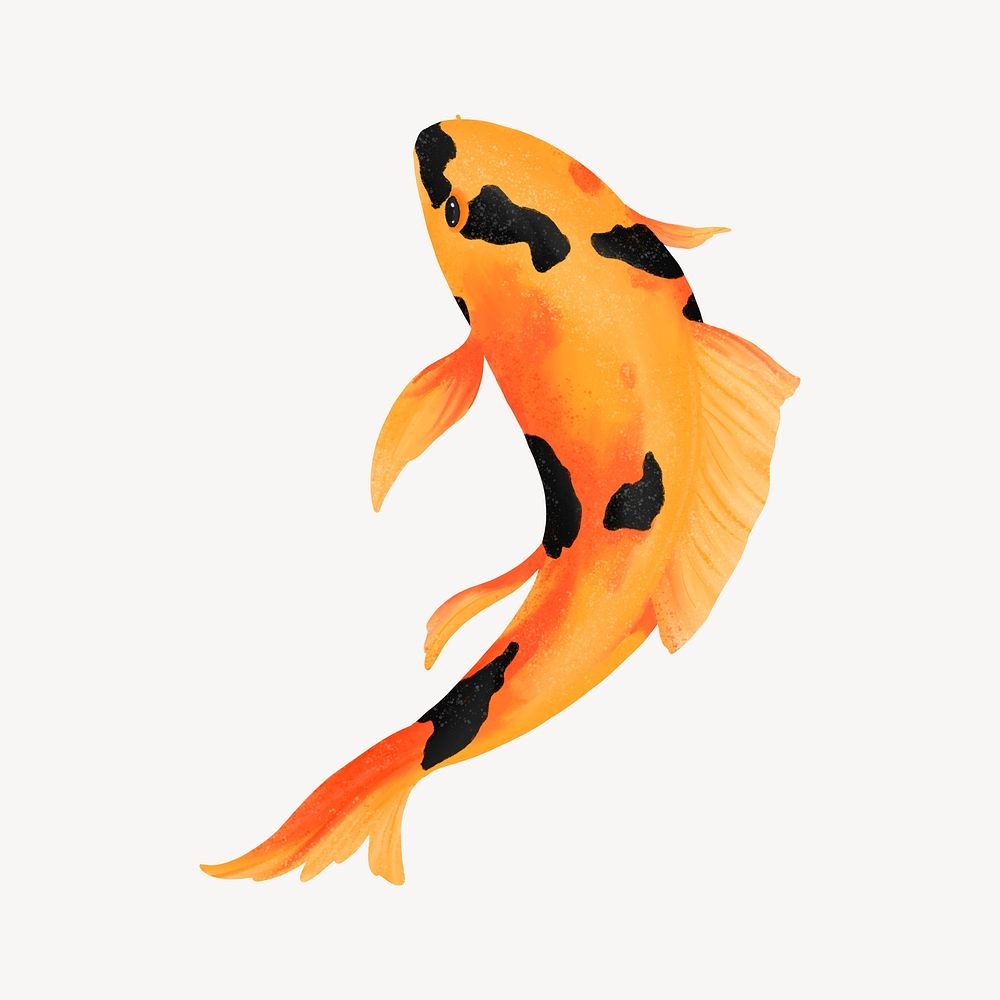 Koi fish, animal illustration