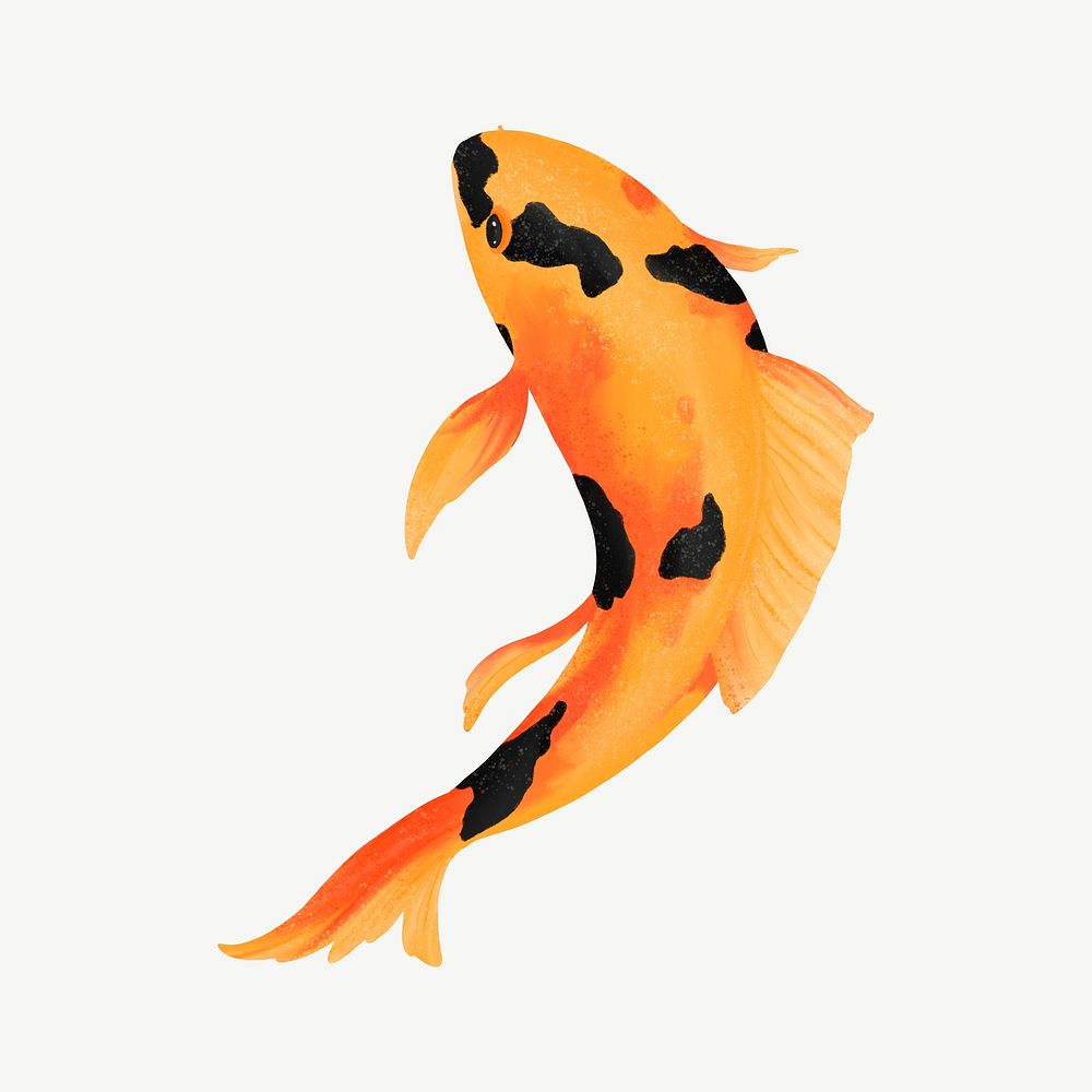 Koi fish, animal illustration, collage element psd