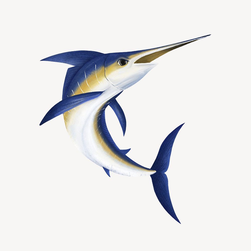 Marlin fish, cute hand drawn illustration