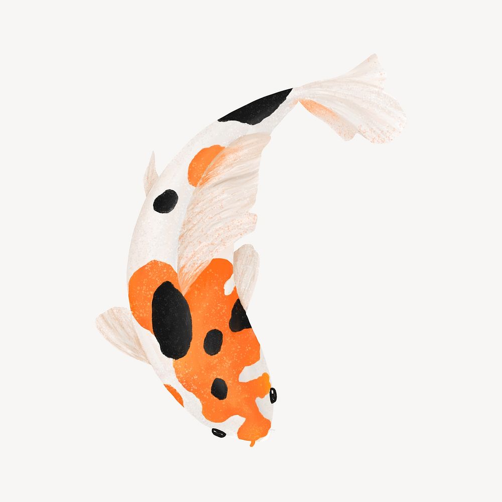 Koi fish, animal illustration