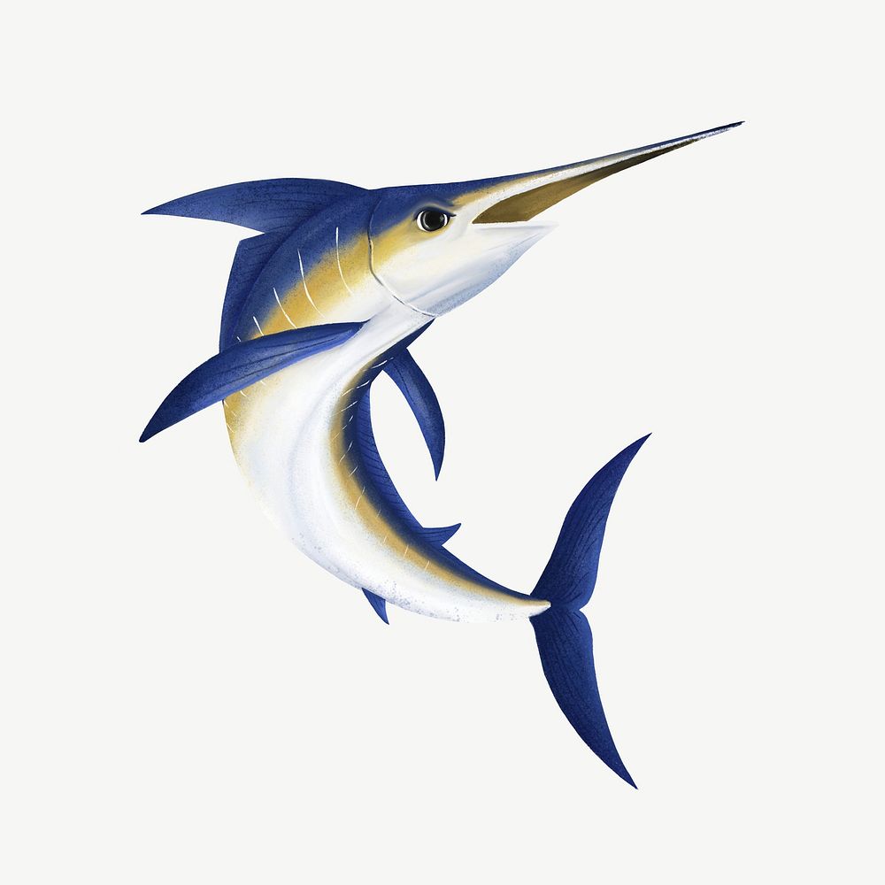 Marlin fish, animal illustration, collage element psd
