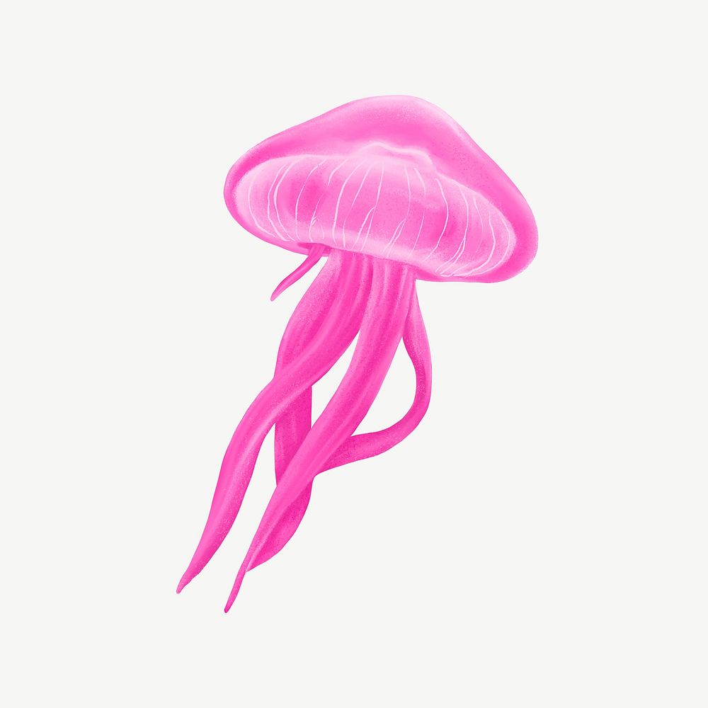 Pink jellyfish, animal illustration, collage element psd