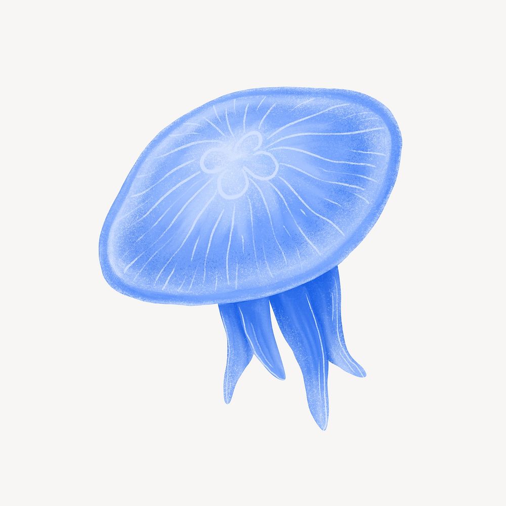 Blue jellyfish, animal illustration