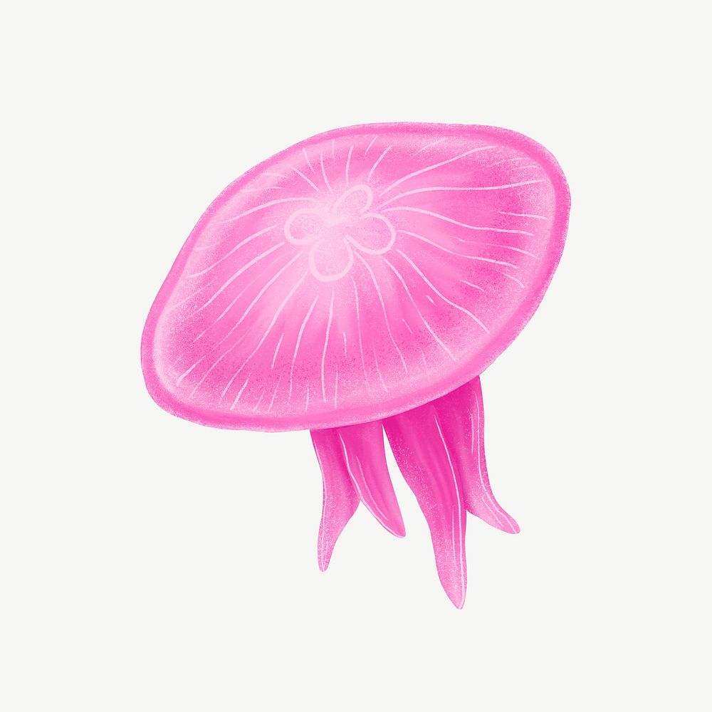 Pink jellyfish, animal illustration, collage element psd