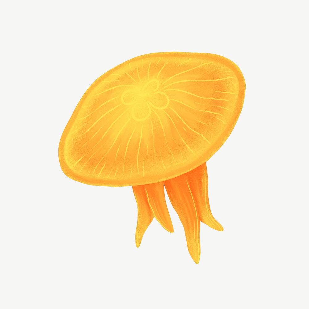 Orange jellyfish, animal illustration, collage element psd