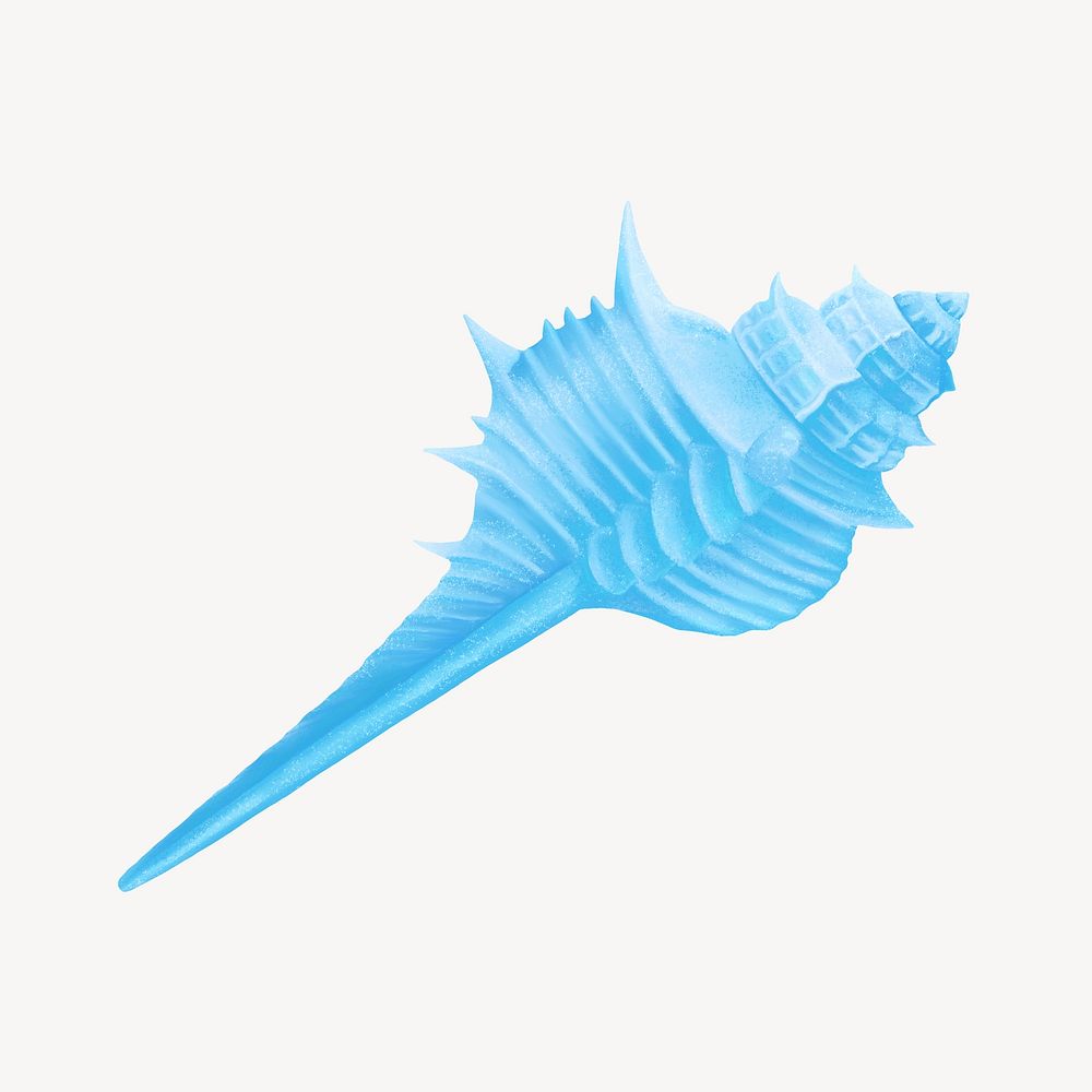 Blue murex shell, animal illustration