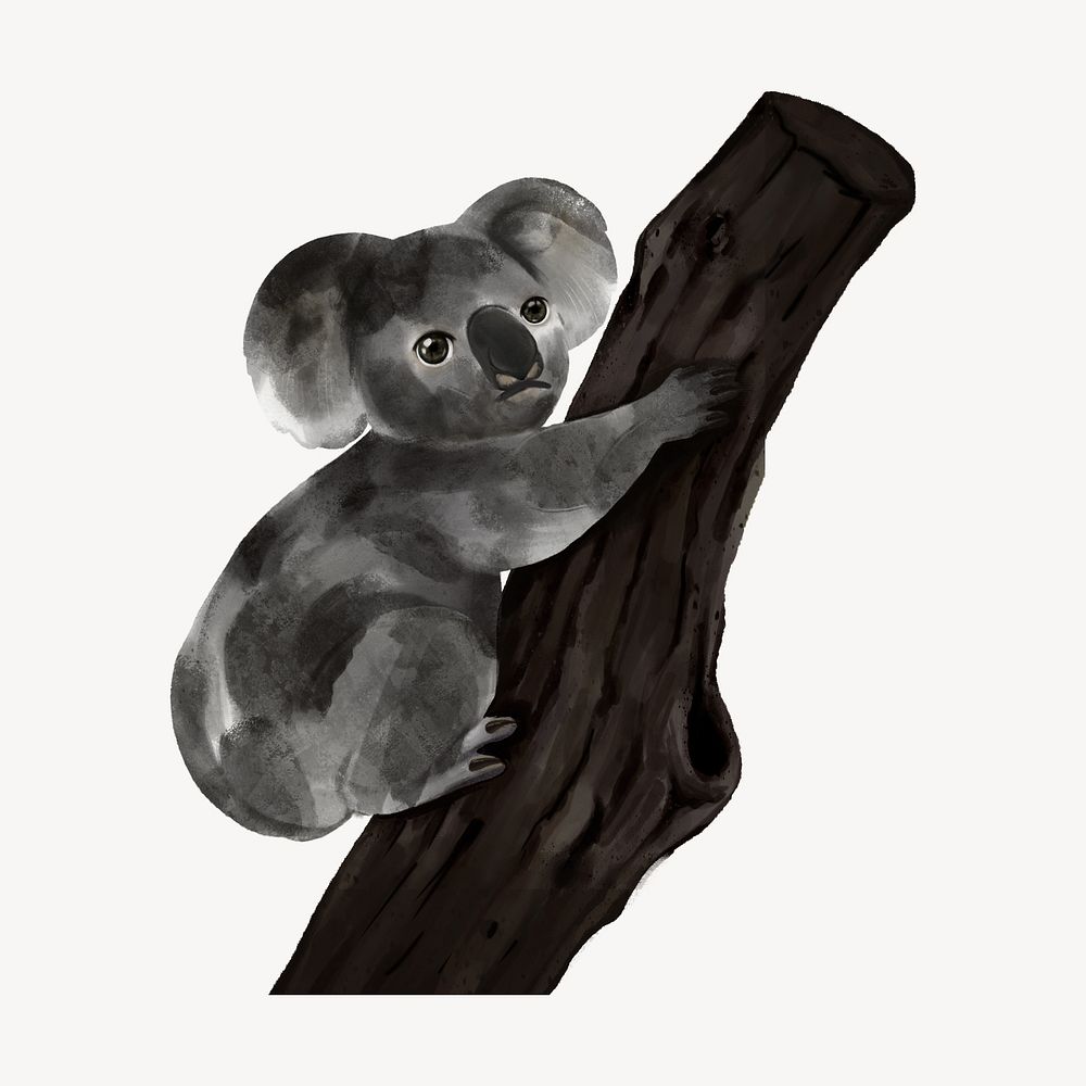 Ashy koala baby, cute hand drawn illustration