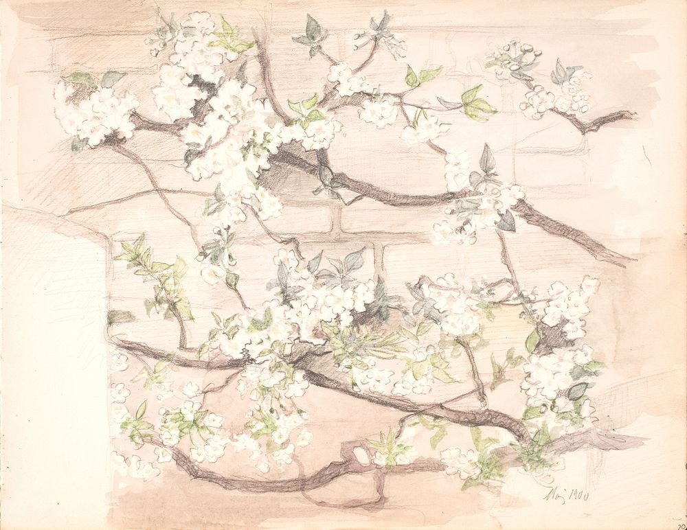 Apple blossoms by Agnes Slott-M&oslash;ller