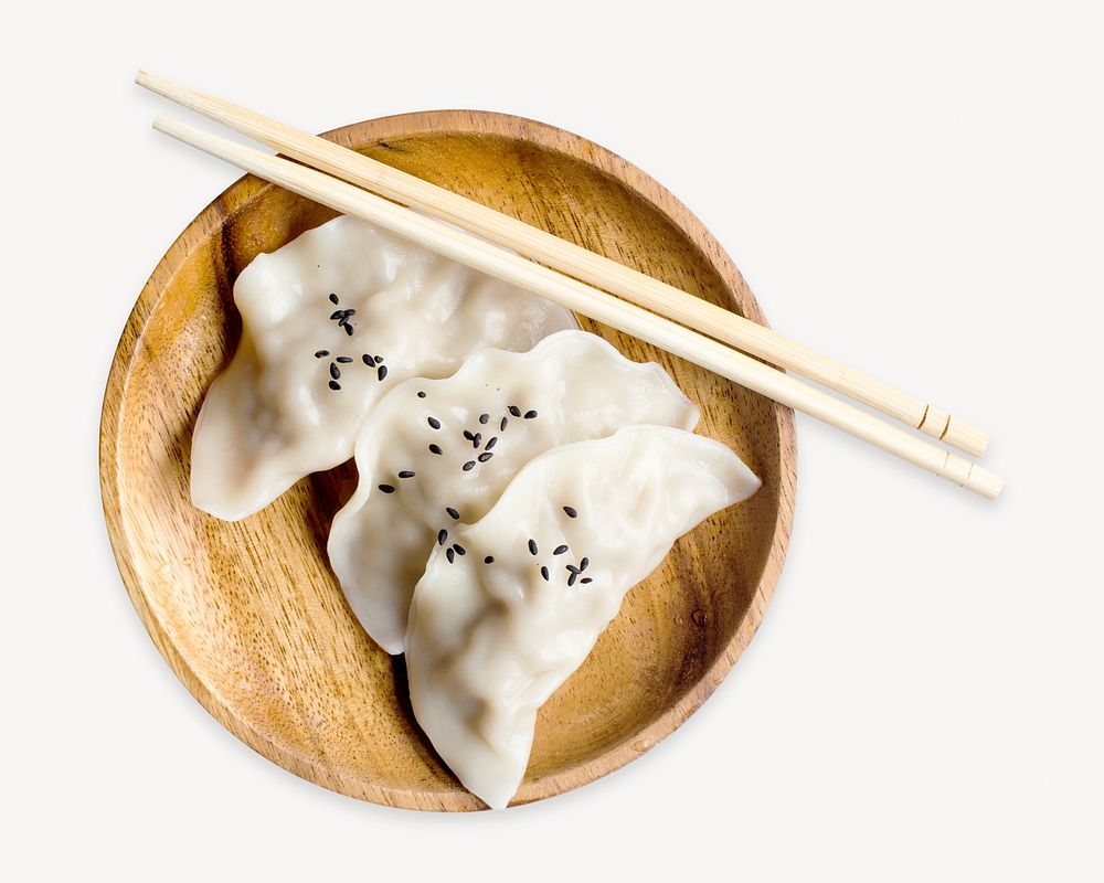 Dumplings, food isolated design