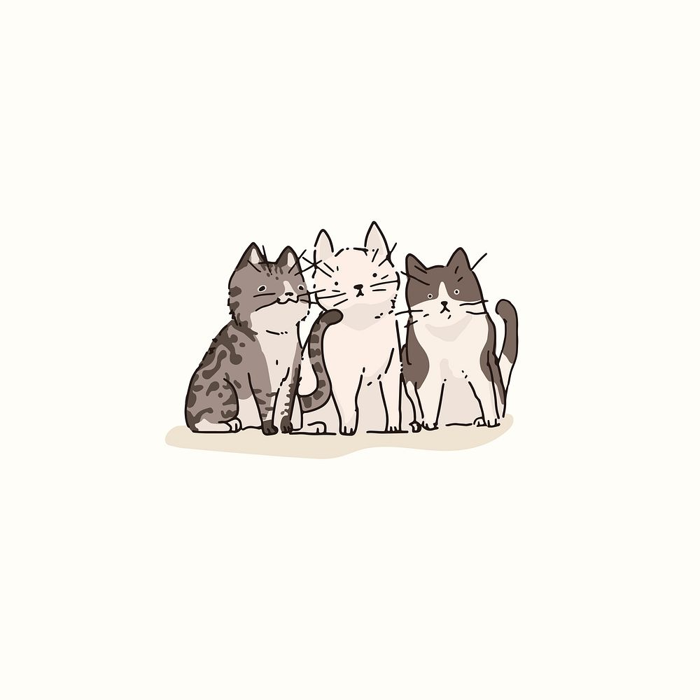 Cute domestic shorthair kittens, drawing illustration