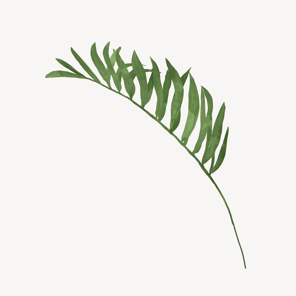 Palm leaf branch collage element vector