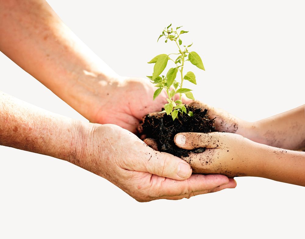 Family planting tree isolated image