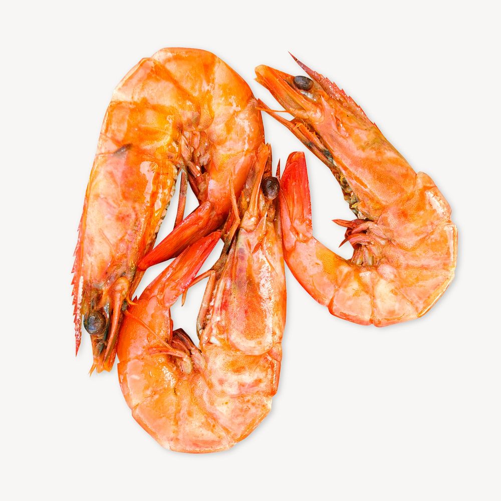 Cooked shrimp isolated image on white