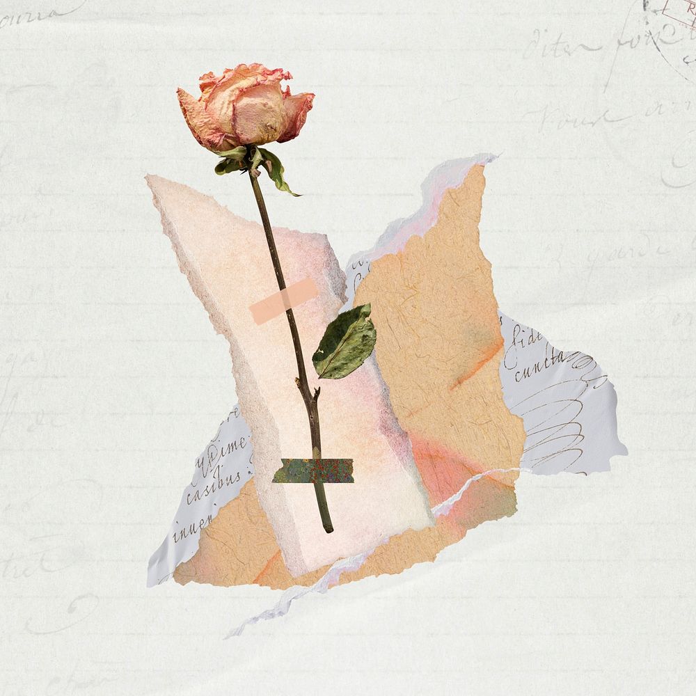 Aesthetic vintage rose torn paper collage
