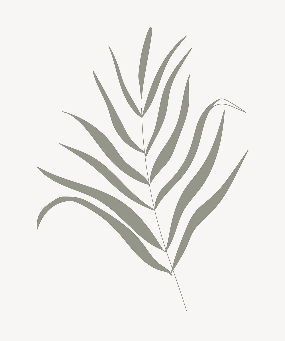 Green leaf aesthetic vector