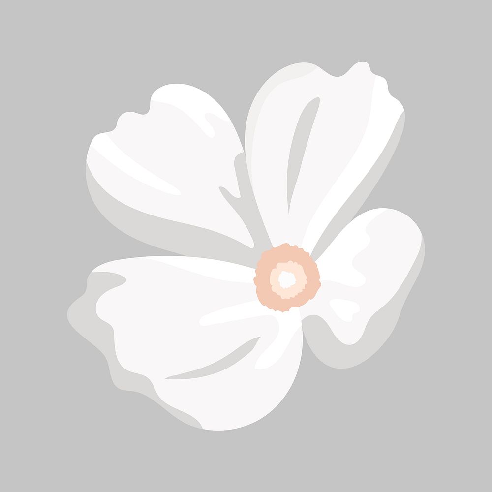 White flower aesthetic vector