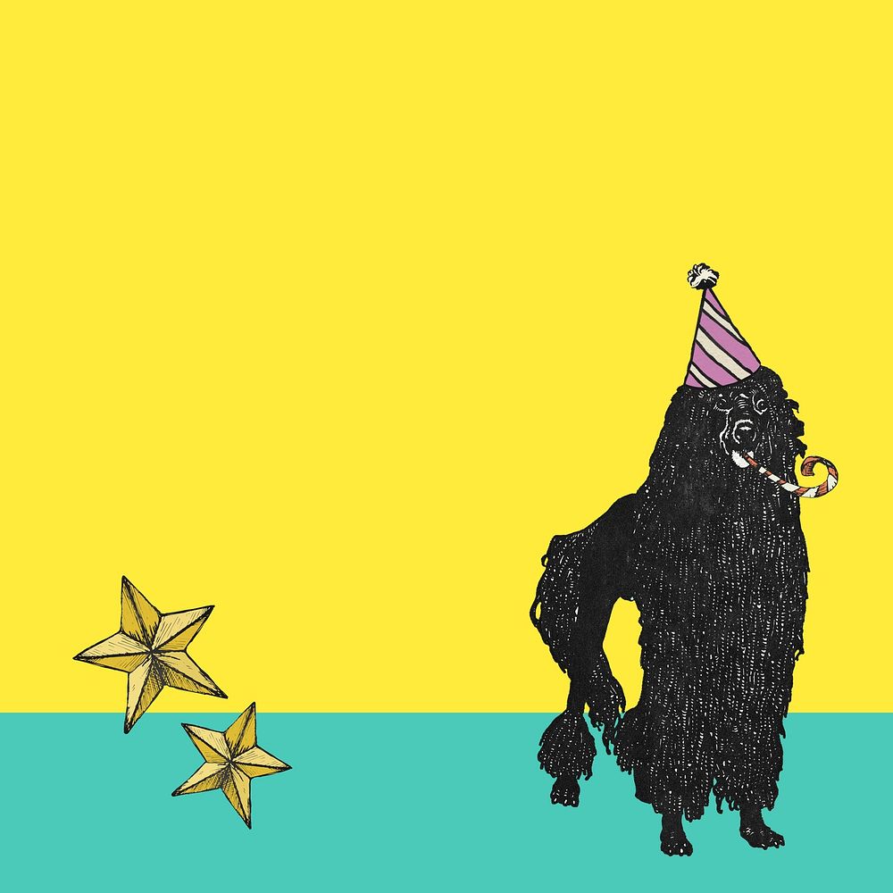 Poodle birthday, yellow background image