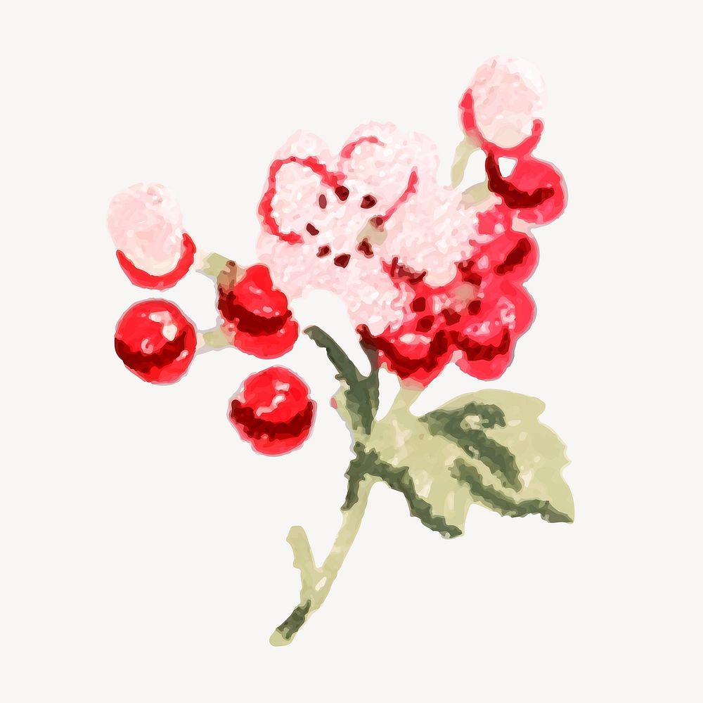 Cherry blossom watercolor flower vector
