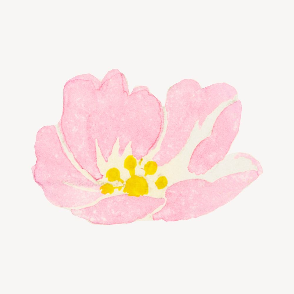 Pink peony flower watercolor psd