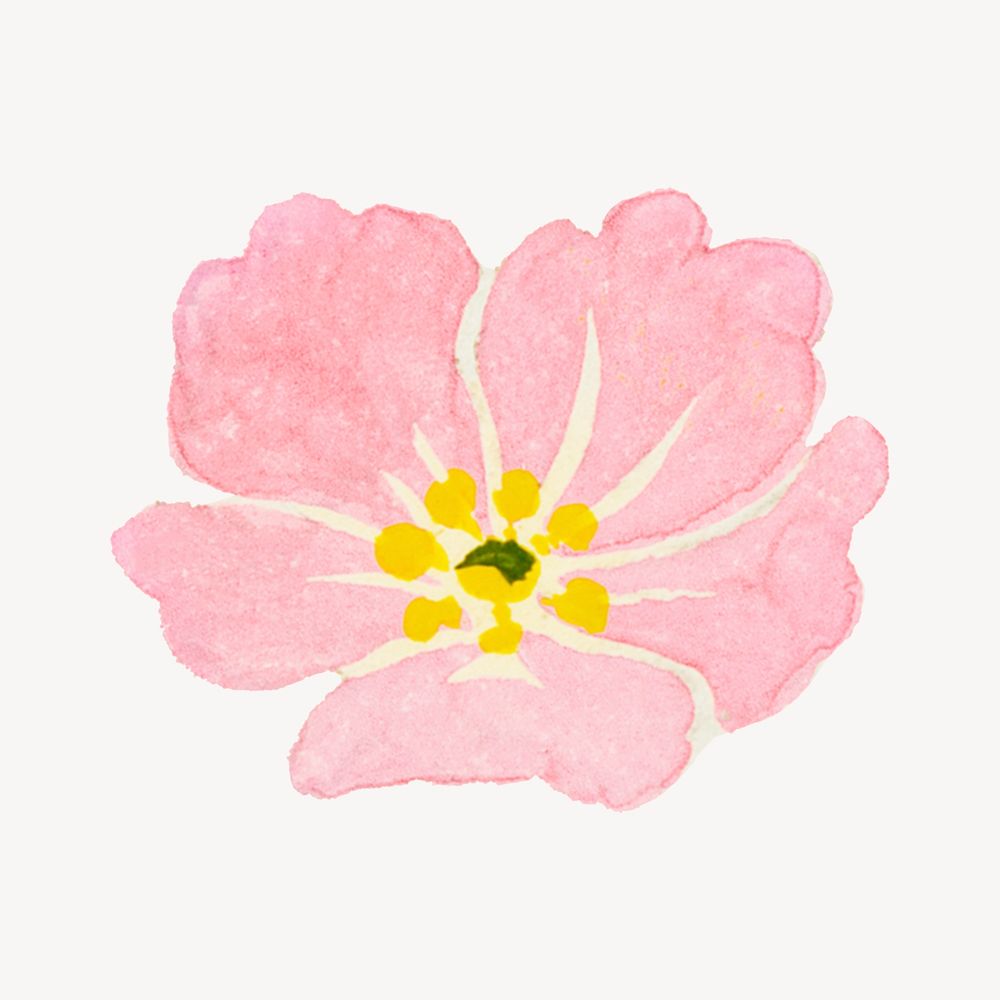 Pink peony flower watercolor psd