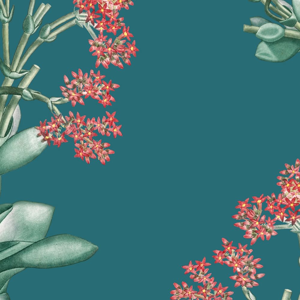 Green Ixora flower background, vintage botanical border