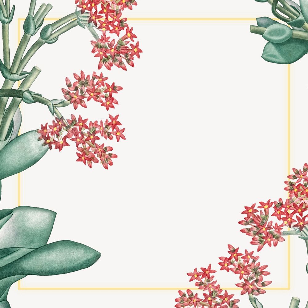 Off-white Ixora flower frame, vintage botanical background