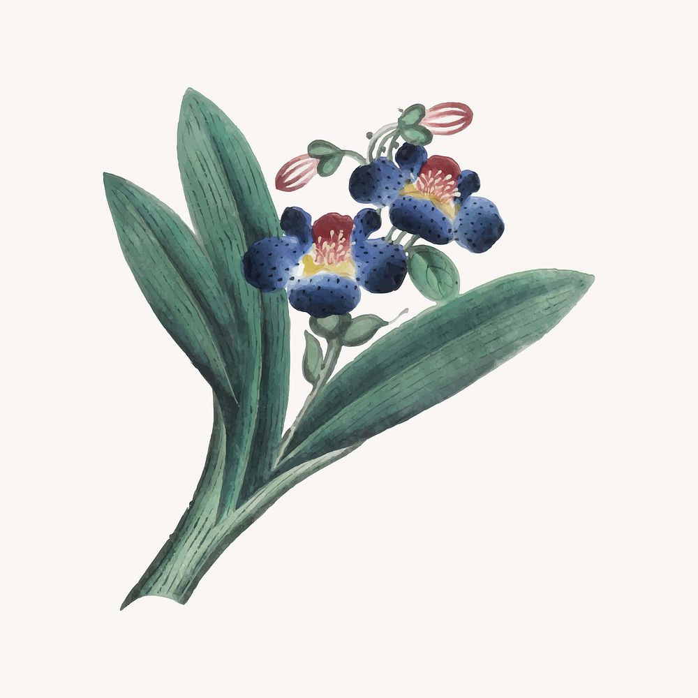 Blue flower illustration, collage element vector