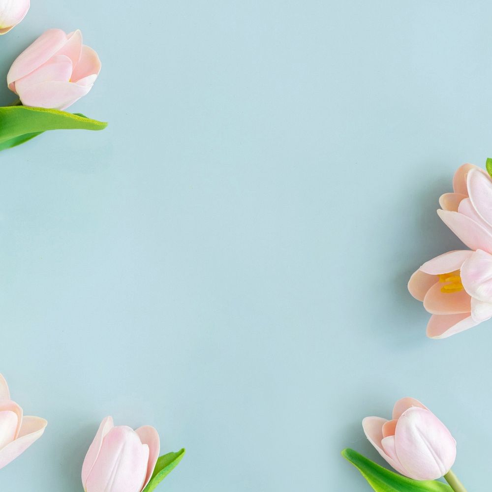 Aesthetic tulip flowers background, pastel | Premium Photo - rawpixel