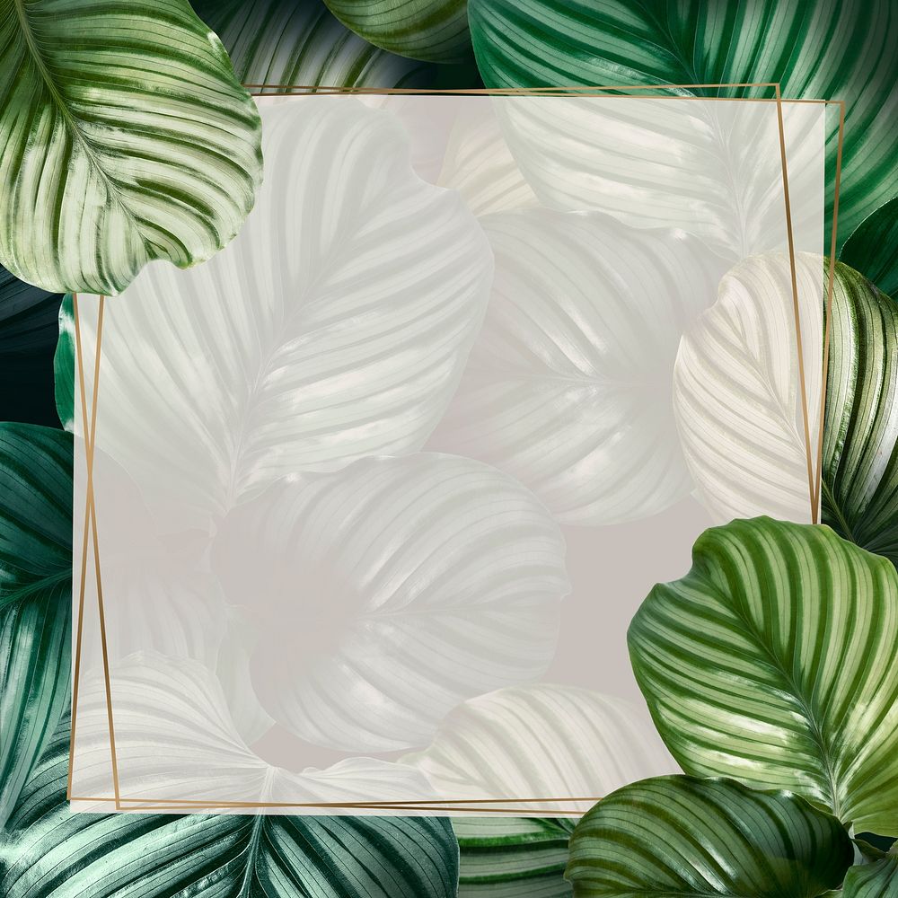 Tropical leaf frame background, botanical design