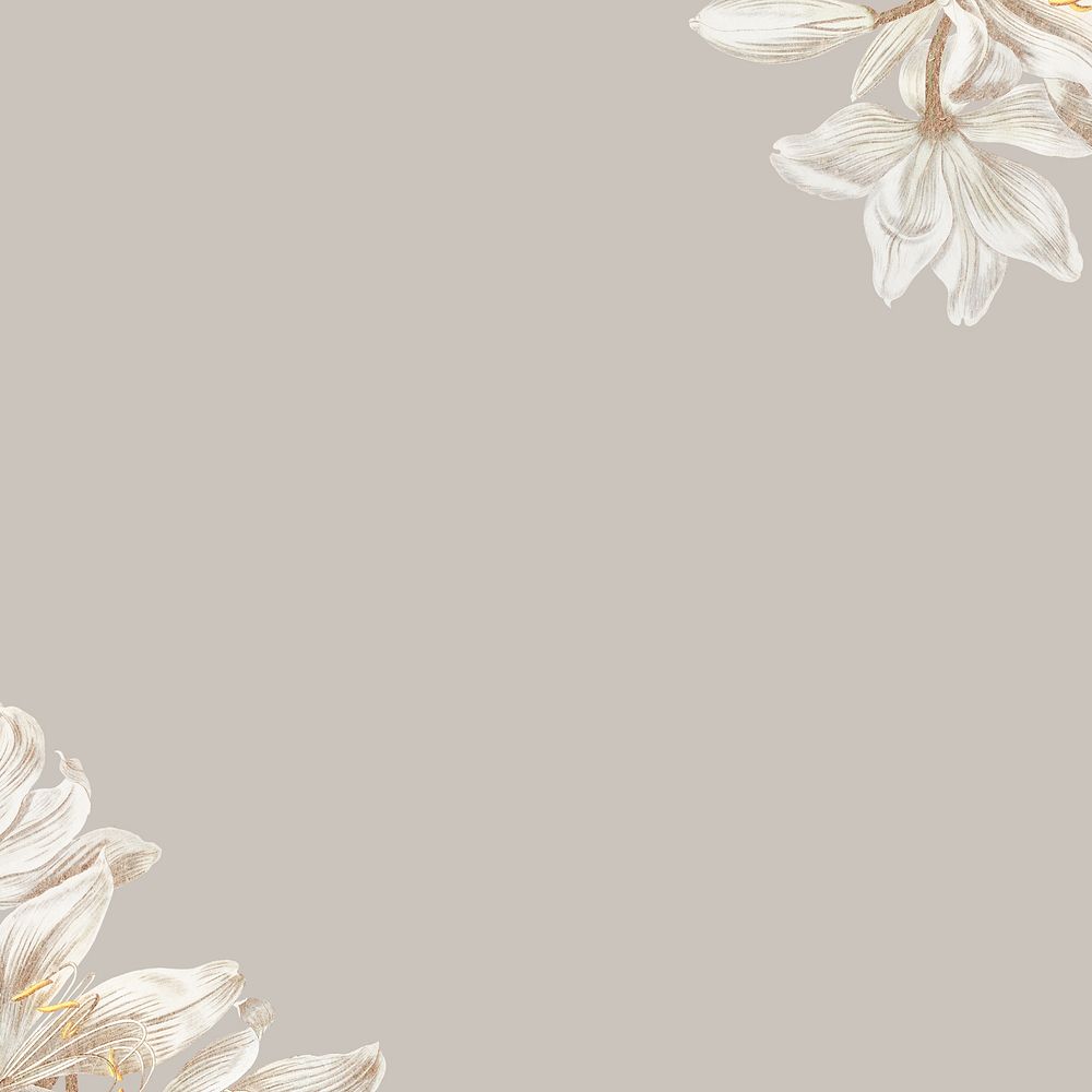 Vintage white flower background, greige border