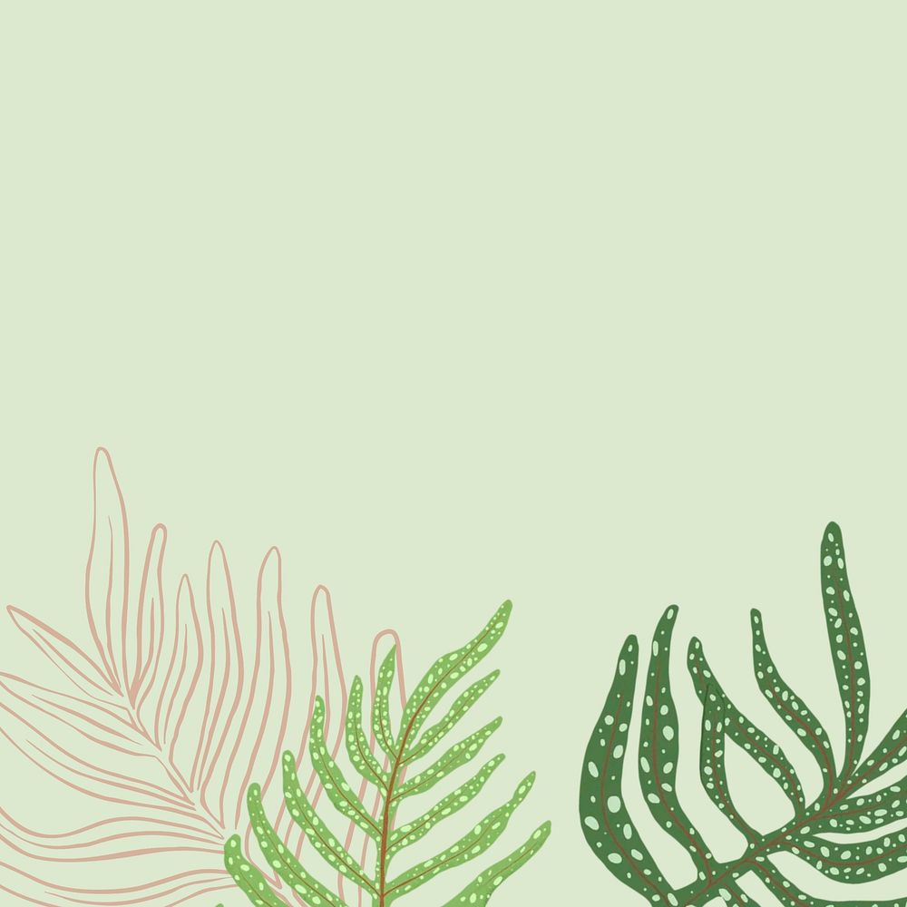 Green botanical aesthetic background, leaf branch border