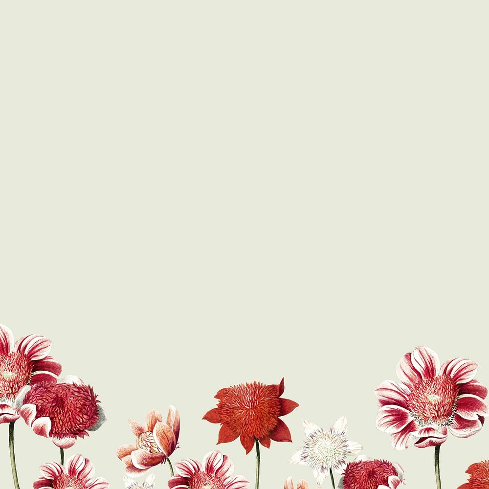 Vintage flower border background, pastel green design