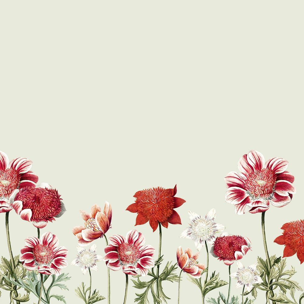 Vintage flower border background, pastel green design