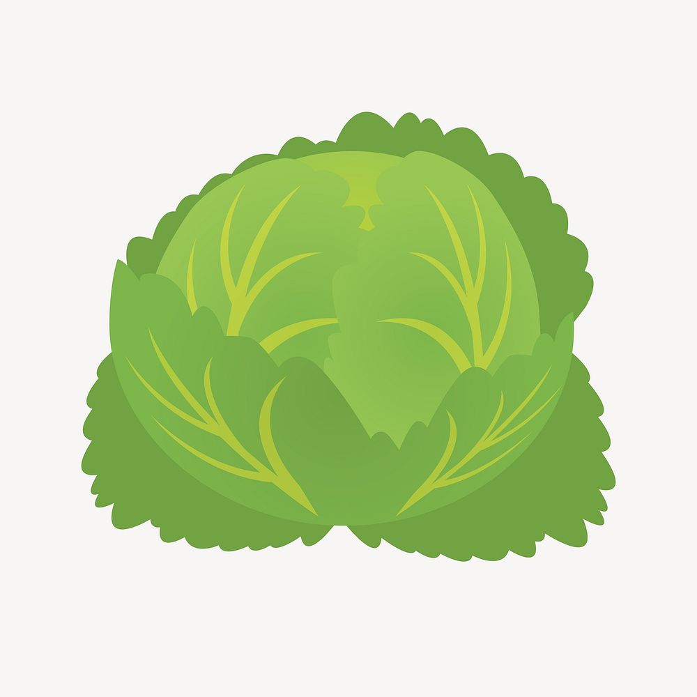 Lettuce vegetable clip art vector. Free public domain CC0 image.